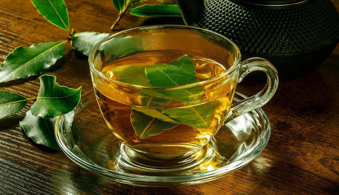Chá de Folha de Louro E Super Variações Que Trarão Muitos Benefícios