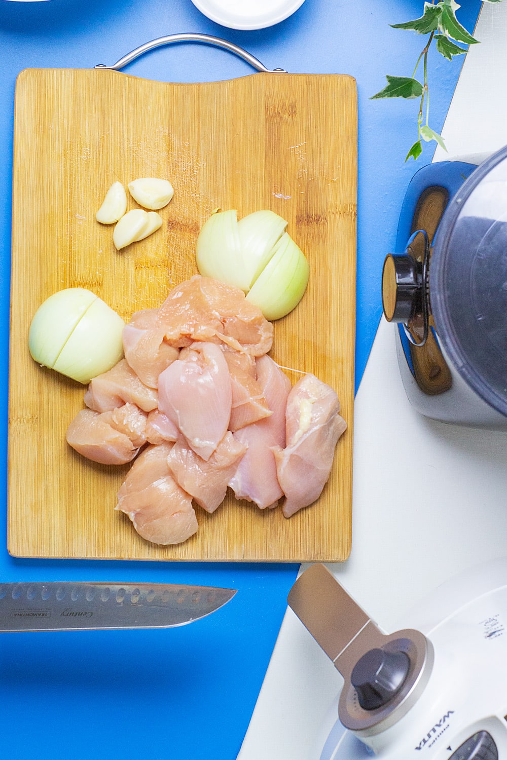 preparando os ingredientes para ir ao triturador