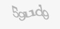 Código de segurança