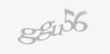 Código de segurança
