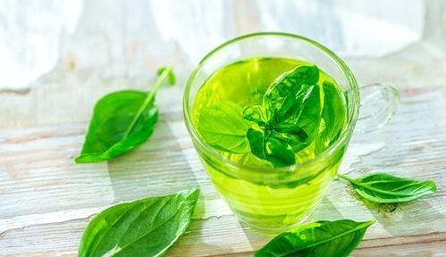 Chá de Manjericão & Modos de Preparos Para Melhorar Sua Saúde