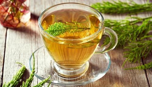 Chá de Cavalinha & Sugestões Para Uma Saúde Sempre Renovada