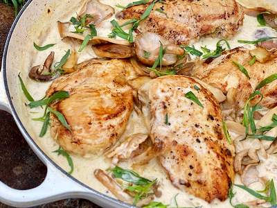 17 Receitas de Frango Cremoso &amp; Alternativas Práticas