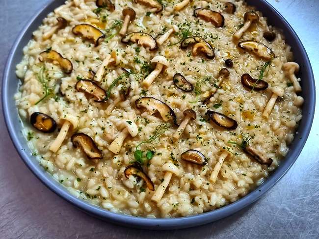 22 Receitas Com Shitake + Versões Para Preparar Pratos Incríveis