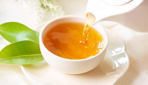 Chá Branco + Outras Opções Diferentes de Ervas Que Vão Te Aconchegar E Proporcionar Diversos Benefícios