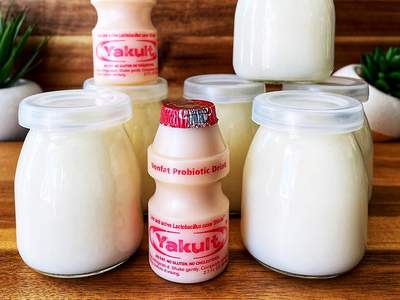 Receita Com Yakult &amp; Modos de Preparar Diferentes Para Degustar Como Quiser