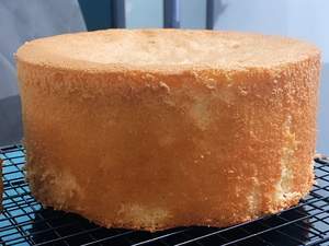 16 Receitas de Massa de Bolo Pão de Ló + Combinações Fáceis E Simples