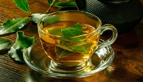 Chá de Folha de Louro E Super Variações Que Trarão Muitos Benefícios
