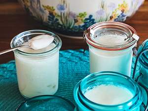 16 Receitas Com Kefir de Leite E Água Super Saudáveis
