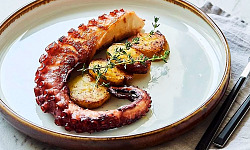 16 Receitas de Polvo + Opções Totalmente Inovadoras: deguste sem moderação